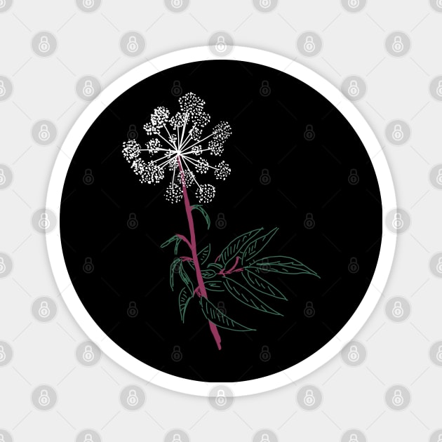 Water Hemlock Magnet by H. R. Sinclair